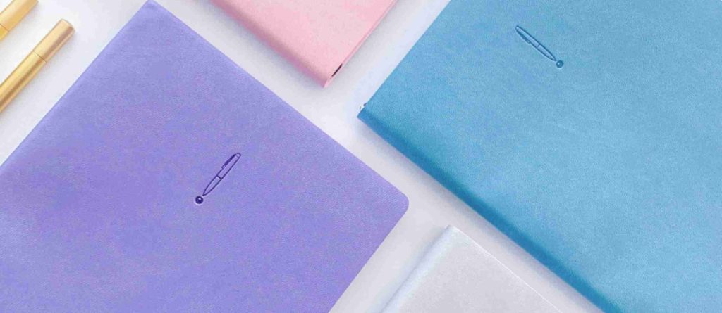 journals and pens